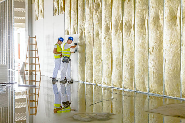 Best Insulation Replacement Services  in Philomath, OR